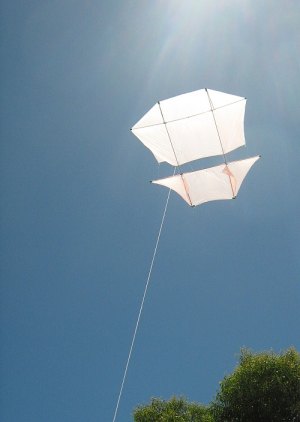 The MBK Dowel Dopero kite in flight. The MBK Dowel Dopero kite in flight.