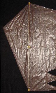 The Dowel Sled - spar taped down The Dowel Sled - spar taped down