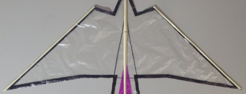 Making the Indoor Bird kite - Step 4f
