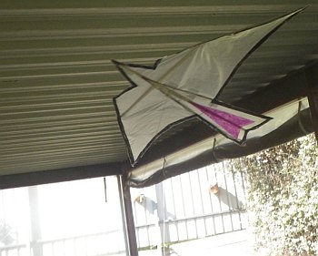 The MBK Indoor Bird kite in flight, under a veranda.