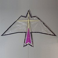 The MBK Indoor Bird Kite.