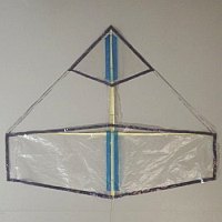 The MBK Indoor Canard Kite.