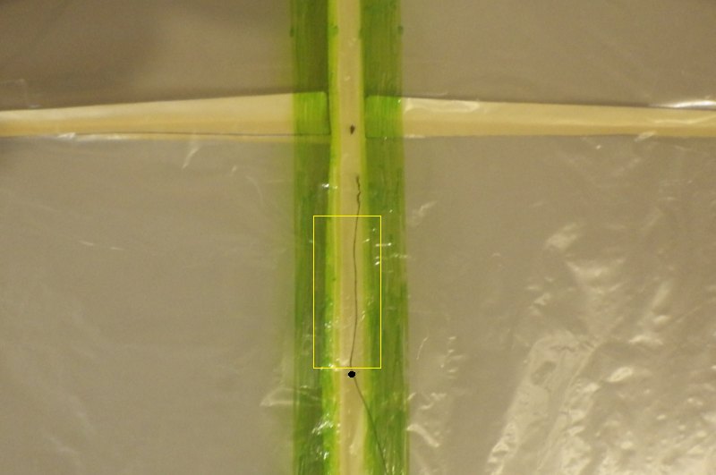 Making the Indoor Rokkaku kite - Step 6a