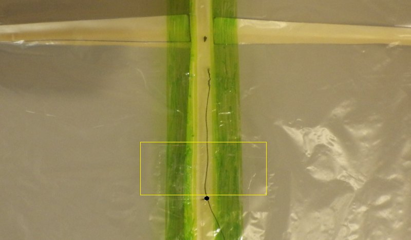 Making the Indoor Rokkaku kite - Step 6b
