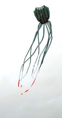 Ribbons added to central tails