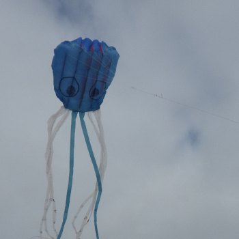The MBK Octopus Kite in flight.