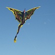 Murray Bridge Kite Festival 2016 - Dragon kite, blue body.