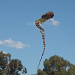 Murray Bridge Kite Festival 2016 - cobra kite.