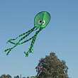 Murray Bridge Kite Festival 2016 - Flat Octopus.