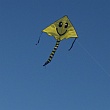 Murray Bridge Kite Festival 2016 - Smiley delta kite.