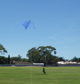 The huge MBK Multi-Dowel Delta kite casts a large, slow-moving shadow.
