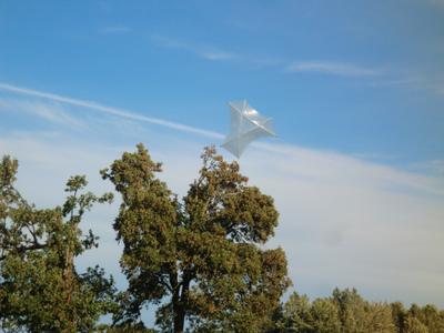 Another in flight shot