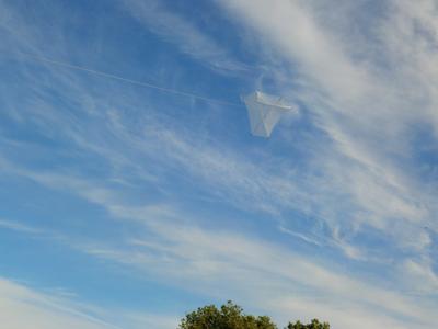 In flight shot at 100 feet or so