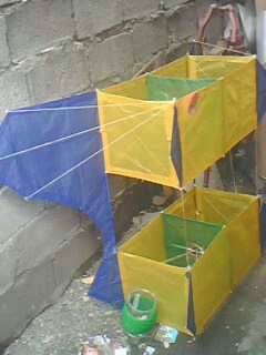 Bamboo and tissue Cody kite.