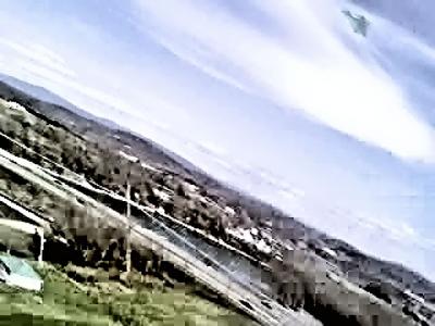 Kite flying over the park area