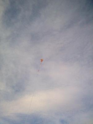 High Flyer in the air