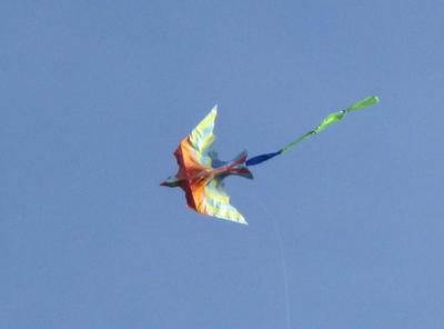 Love the sun shining through.