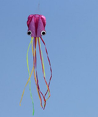 LARGE Kite Octopus Frameless Soft Parafoil Kites For Kids & Adults Easy  ❤ 