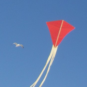 The MBK Paper Diamond kite in flight.