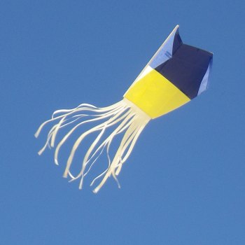 The MBK Paper Sled kite in flight.