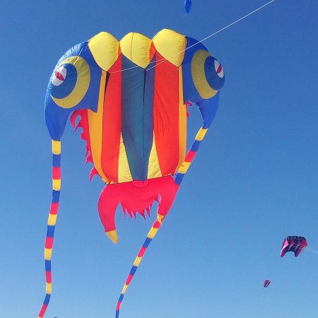 Ripstop Nylon Fabric Kitesurfing, Ripstop Nylon Fabric Kites