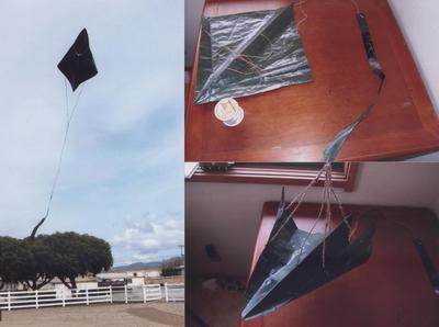 Tarp Kite