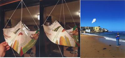 Bi-cylindrical wing version