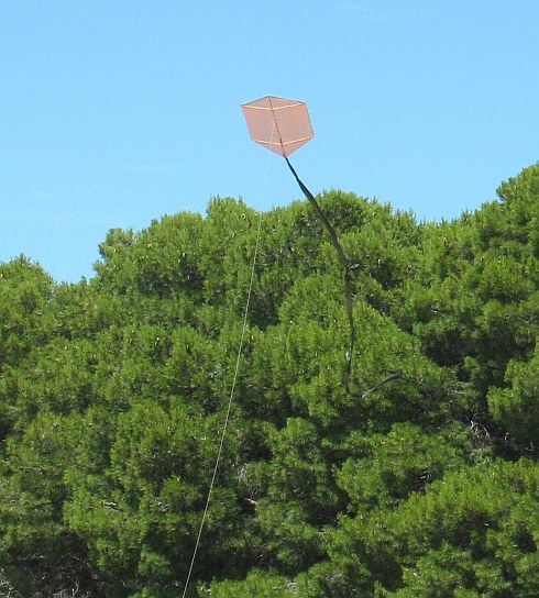 The 1-Skewer Rokkaku in flight.