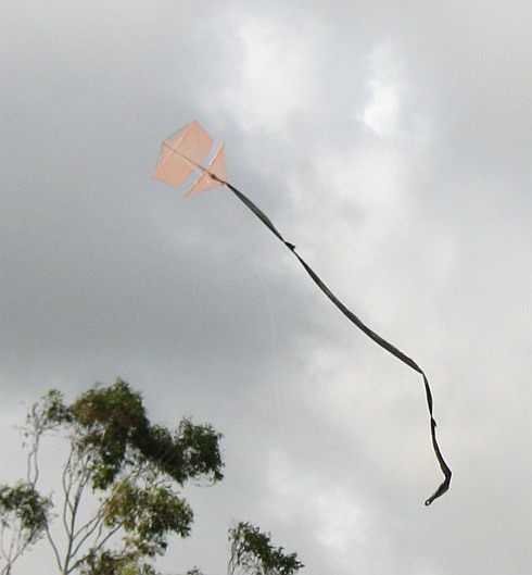 The 1-Skewer Roller in flight.