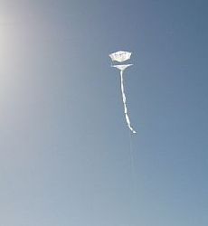 The original 1-Skewer Roller kite in flight. The original 1-Skewer Roller kite in flight.