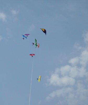 Soon-to-be-free kites!