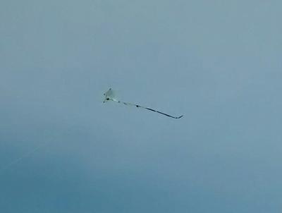 Not bad for a first attempt