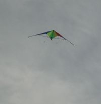 The cheap 2-line delta stunt kite in flight.