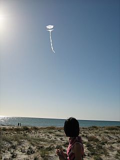 The MBK 1-Skewer Roller kite, being flown by my wife May. The MBK 1-Skewer Roller kite, being flown by my wife May.