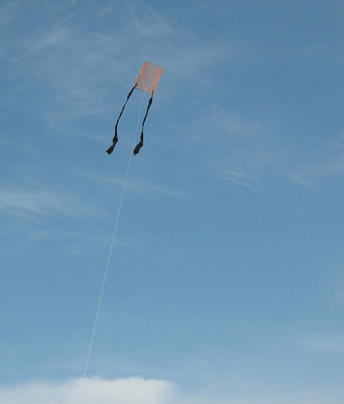 The 1-Skewer Sled kite in flight