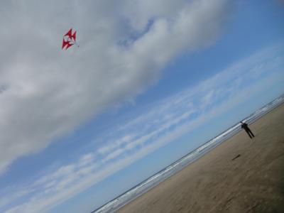 The big picture at Nye Beach about half way up.