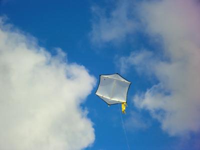 Still flyin' after I dragged it over the roof of a house!