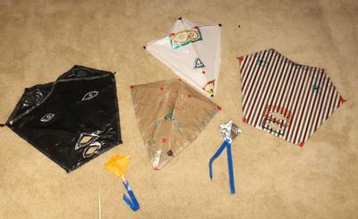 Some of the kites the 