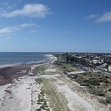 A nice view of the brown seaweed, white sand and a few seaside buildings near Fort Glanville, Semaphore.