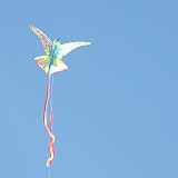 Several Butterfly kites were flying close to their limits in the slowly freshening breeze.