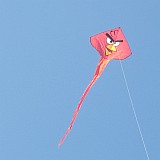 A typical kid's retail Delta. Colorful, easy to launch and efficient.