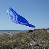 This Whale flies better when suspended from another kite's line