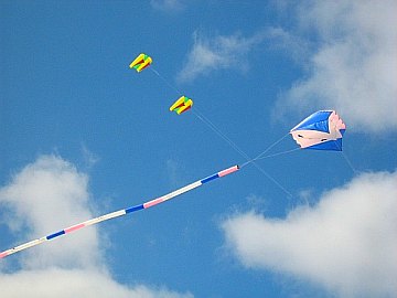 Large Flowform kite