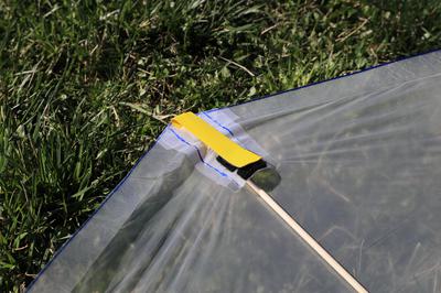 Close-up of the nose area